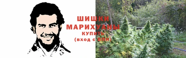 соль ск Гусиноозёрск