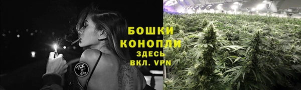 скорость Гусев