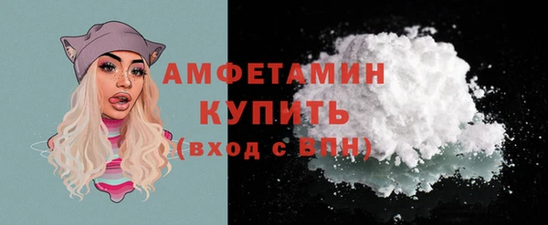 молекула духа Вяземский