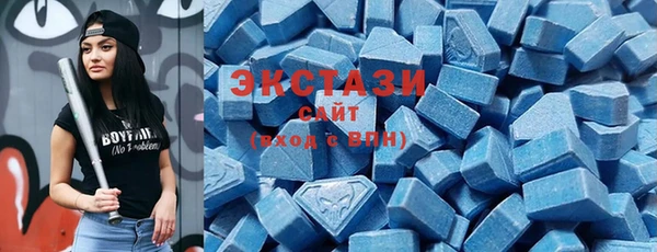 индика Тобольск