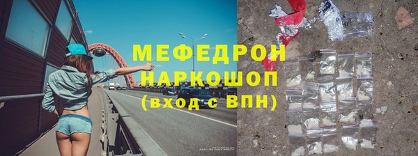 молекула духа Вяземский