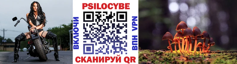 купить закладку  Кореновск  Псилоцибиновые грибы Cubensis 